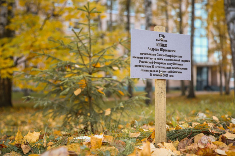 Субботник в Госпитале для ветеранов войн