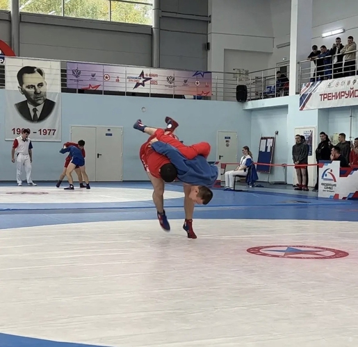 Соревнования по самбо